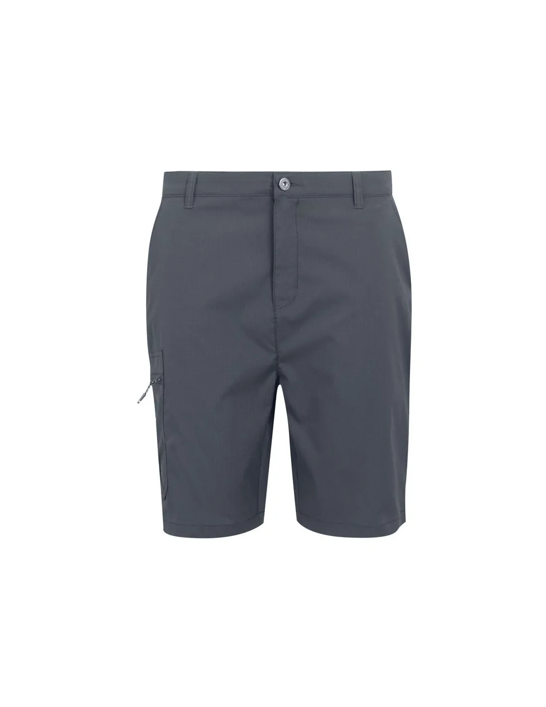Pantalon de Montagne Regatta Dalry Homme Seal Grey